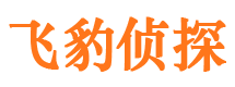 西平外遇调查取证